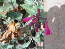 photo thumbnail #2
