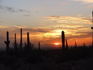 photo thumbnail #15