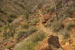 photo thumbnail #11