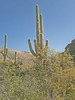 photo thumbnail #12