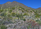 photo thumbnail #13