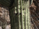 photo thumbnail #6