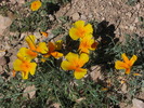 photo thumbnail #13