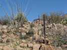 photo thumbnail #15