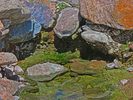Featured Detail Photo
