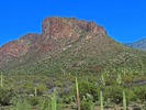 photo thumbnail #11