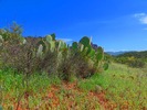 photo thumbnail #12