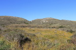 photo thumbnail #11
