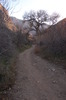 photo thumbnail #12