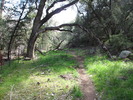 photo thumbnail #4
