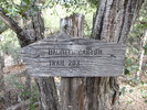 photo thumbnail #12