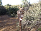 photo thumbnail #15