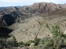 photo thumbnail #7