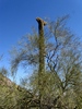 photo thumbnail #10