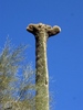 photo thumbnail #13