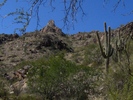 photo thumbnail #14