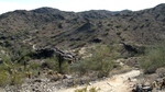 photo thumbnail #11