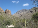 photo thumbnail #1