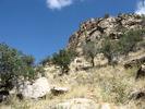 photo thumbnail #4