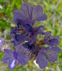 photo thumbnail #15