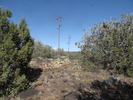 photo thumbnail #10
