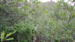 photo thumbnail #14