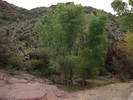 photo thumbnail #2