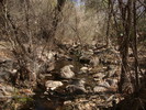 photo thumbnail #9