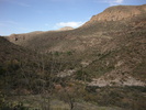 photo thumbnail #10