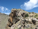 photo thumbnail #8