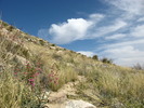 photo thumbnail #11