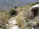 photo thumbnail #14