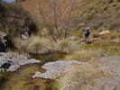 photo thumbnail #9