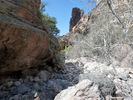 photo thumbnail #3