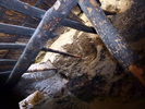 photo thumbnail #10