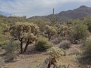 photo thumbnail #6