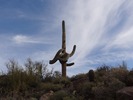 photo thumbnail #7