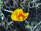photo thumbnail #13