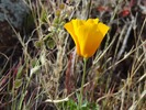 photo thumbnail #14