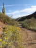 photo thumbnail #8