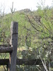 photo thumbnail #14