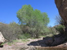 photo thumbnail #3