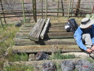 photo thumbnail #8