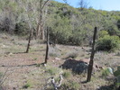 photo thumbnail #11