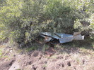photo thumbnail #12