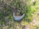 photo thumbnail #14