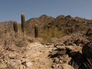 photo thumbnail #1