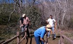 photo thumbnail #4