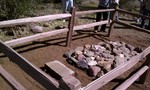 photo thumbnail #8