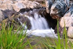 photo thumbnail #10